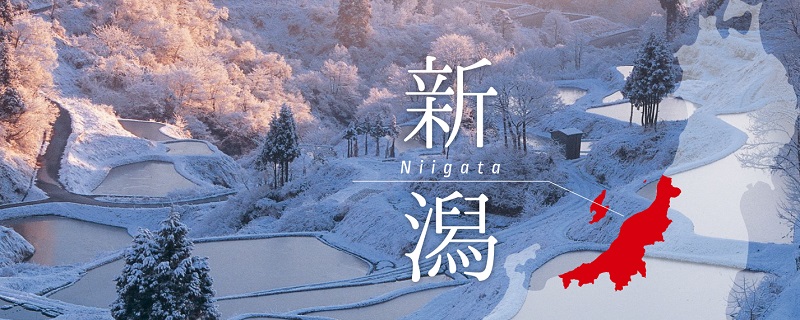 にいがたONI割、サンキュー割、スキー・スノボー割引情報！新潟県をお得に楽しもう！