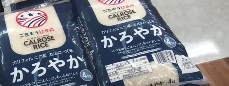 イオンでカルフォルニア産「カルローズ米」を販売!備蓄米と比べるとまだ高い!